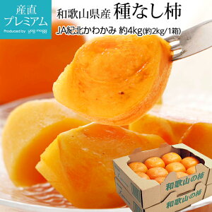 ` 햳` 2kg 2 a̎RY Yn ˂Ȃ` Ȃ`  JL t[c ʕ Mtg  v[g j oYj Yv~A