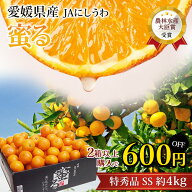 【エントリ—＆条件達成でP最大10倍】【2箱以上ご購入で600円OFF】みかん 蜜るみかん 蜜る 特秀品 約4kg …