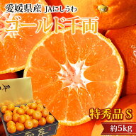 【エントリ—＆条件達成でP最大10倍】高級みかん ゴールド千両 日の丸みかん 特秀品 約5kg Sサイズ 約60…