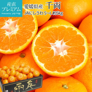 ݂ 痼 ̊ۂ݂ 5kg S`LTCY 40`60 QY Yn  ~J   t[c ʕ Mtg  v[g TCY Yv~A