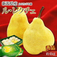 【エントリ—＆条件達成でP最大10倍】洋梨 ルレクチェ 秀品 約4kg 8〜16玉 新潟県産 産地直送 ル・レクチ…