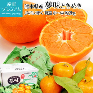 yGg?Ń|Cg10{z ݂ z~܊|݂  I 3kg `TCY 40`50 F{Y ݂ ~J  k  t[c ʕ Mtg v[g  v