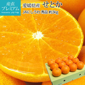 yGg?Ń|Cg10{z ݂ Ƃ Gi 3kg 10`15 QY Yn  ~J k  t[c ʕ Mtg  v[g j TCY Yv~A