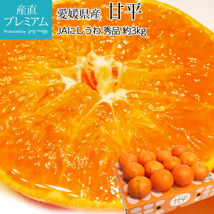 yGg?Ń|Cg10{z ݂ Õ Gi 3kg 10`15 QY Yn  ~J k  t[c ʕ Mtg  v[g j TCY Yv~A