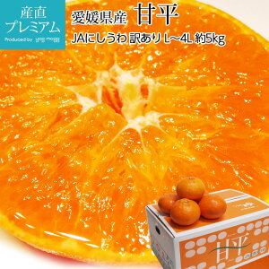 ݂ Õ 󂠂 5kg L`4LTCY 12`26 QY Yn  ~J k  t[c ʕ Mtg ƒp v[g j TCY Yv~A