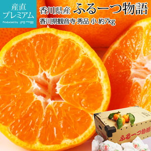 yGg?Ń|Cg10{z ݂ ӂ[ Gi 7kg TCY 120 z~܊|݂ 쌧Y Yn  ~J t[c  t[c ʕ Mtg  v[