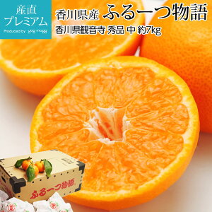 yGg?Ń|Cg10{z ݂ ӂ[ Gi 7kg TCY 100 z~܊|݂ 쌧Y Yn  ~J t[c  t[c ʕ Mtg  v[