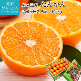 楽天市場 九州 品種 みかん たんかん フルーツ 果物 食品 の通販