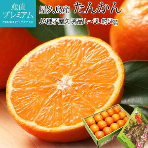 yGg?Ń|Cg10{z ݂ 񂩂 Gi 5kg L`3LTCY vY ^J ~J  k  t[c ʕ Mtg  v[g TCY Yv~A