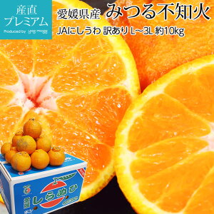 yGg?Ń|Cg10{z ݂sm ʂ 󂠂 10kg L`3LTCY 32`50 QY Yn sm k fR| łۂ  t[c ʕ Mtg ƒp v[