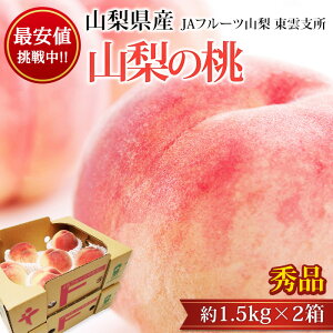 �� �R�� �G�i ��3kg �R�����Y �Y�n���� ���� ���� �s�[�` �ҁ[�� ������ �t���[�c �ʕ� �M�t�g ���� �v���[���g ���j�� �Y���v���~�A��