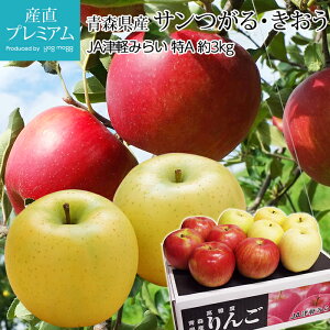 y9/4 20:00`P2{z  T  MIX A 3kg 9`12 XY Yn S ь  t[c ʕ Mtg  v[g j TCY  Yv~A
