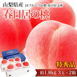 �y�G���g���[��P10�{�z�y������ �M�t�g�z�� �t�����̓� ���G�i ��1.8kg 3��×2�� �R�����Y �Y�n���� ���� ���� �R�� ������ �t���[�c �ʕ� ���� �M�t�g �v���[���g ���j�� �o�Y�j�� �Y���v��