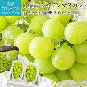 【マラソン期間限定P2倍】 ぶどう シャインマスカット 優アップ 約1.2kg 2房 山梨県産 露地栽培 産地直送 ブドウ 葡萄 マスカット お取り寄せ フルーツ 果物 ギフト 贈答 プレゼント 内祝い 出産祝い 産直プレミアム