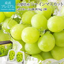 ぶどう シャインマスカット 約1kg 2房 山梨県産 ハウス栽培 産地直送 ブドウ 葡萄 マスカット お取り寄せ フルーツ 果物 ギフト 贈答 プレゼント 内祝い 出産祝い 産直プレミアム