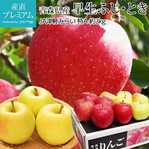  ӂ Ƃ MIX A 3kg 9`12 XY Yn S ь 킹ӂ ZtW gL  t[c ʕ Mtg  v[g j TCY  Yv~A