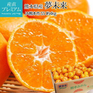 みかん 夢未来 早生みかん 約4kg SSサイズ 48〜64個 小玉 小粒 熊本県産 蜜柑 ミカン 早生 糖度12度以上 お取り寄せ フルーツ 果物 ギフト 贈答 プレゼント 内祝い 箱サイズ 産直プレミアム