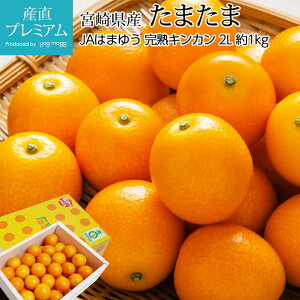 yGg?Ń|Cg10{z ܂ n񂩂 1kg 2LTCY {茧Y {茧F Yn  LJ  k  t[c ʕ Mtg  v[g j x1