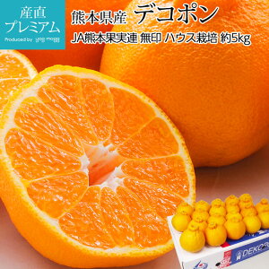 yGg?Ń|Cg10{z ݂ fR|  5kg 18`20 nEX͔| F{Y  ~J k łۂ  t[c ʕ Mtg  v[g j TCY ̂ Y