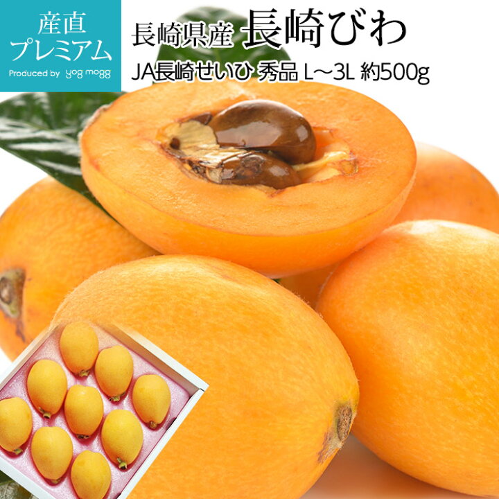 楽天市場 びわ 長崎びわ 秀品 約500g L 3lサイズ 8 12玉 ハウス栽培 化粧箱 長崎県産 Ja長崎せいひ 送料無料 枇杷 ビワ 長崎枇杷 長崎ビワ お取り寄せ フルーツ 果物 ギフト 贈答用 プレゼント 内祝い 産直プレミアム 産直プレミアム