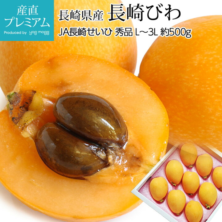 楽天市場 びわ 長崎びわ 秀品 約500g L 3lサイズ 8 12玉 露地栽培 化粧箱 長崎県産 Ja長崎せいひ 送料無料 枇杷 ビワ 長崎枇杷 長崎ビワ お取り寄せ フルーツ 果物 ギフト 贈答用 プレゼント 内祝い 産直プレミアム 産直プレミアム