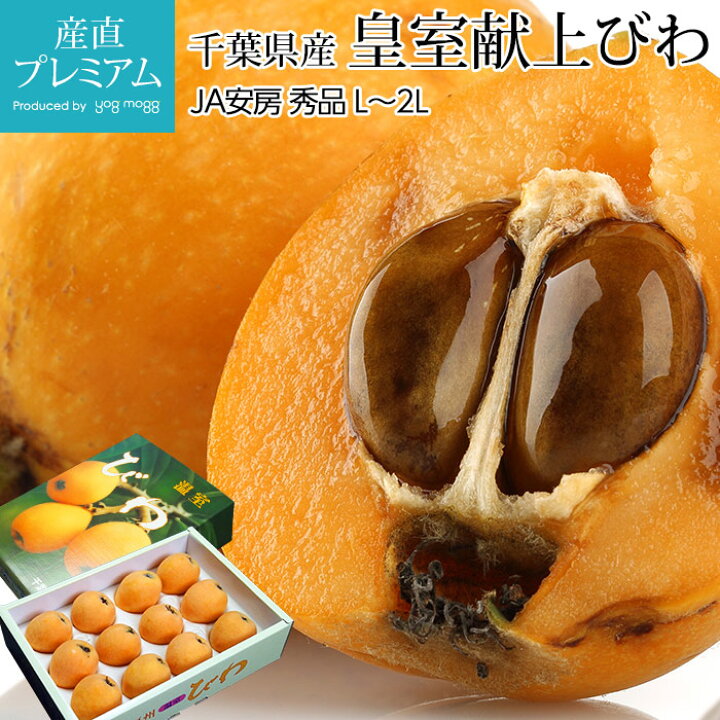 楽天市場 房州びわ 皇室献上びわ 秀品 L 2lサイズ 約1kg 12 15玉 ハウス栽培 千葉県産 Ja安房 送料無料 びわ 枇杷 ビワ 房州びわ 房州枇杷 房州ビワ 千葉 お取り寄せ フルーツ 果物 ギフト 贈答用 プレゼント 産直プレミアム 産直プレミアム