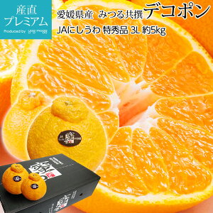 yGg?Ń|Cg10{z fR| Gi 5kg 3LTCY 18 QY  x14xȏ Yn ݂ ~J  k łۂ  t[c ʕ Mtg  v[g 