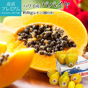 yGg?Ń|Cg10{z ppC 2t 4kg nCY ςς  nC J|zn ʕ t[c Mtg  v[g Yv~A