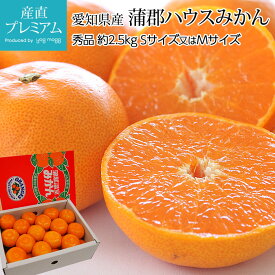 【スーパーセール限定最大P31倍】 みかん 蒲郡ハウスみかん 秀品 約2.5kg Sサイズ（30個） 又は Mサイズ（24個） 愛知県産【ミカン 蜜柑 温室みかん お取り寄せ フルーツ 果物 ギフト 贈答用 プレゼント 内祝い 箱サイズ 糖度12度以上】【産直プレミアム】