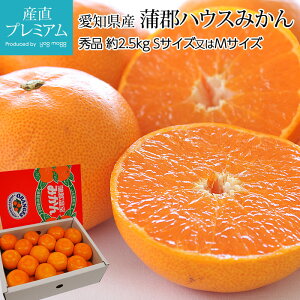 ���i�摜