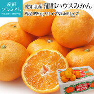 【エントリーでP10倍】みかん 蒲郡ハウスみかん 秀品 約5kg 愛知県産 ミカン 蜜柑 温室みかん お取り寄せ…