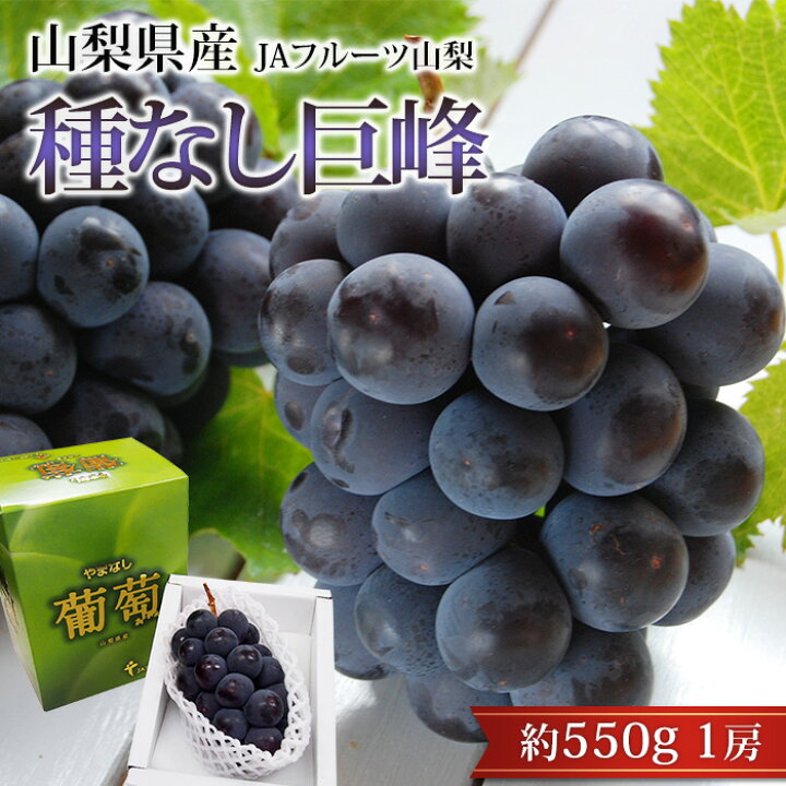 楽天市場 ぶどう 種なし 巨峰 約600g 1房 Jaフルーツ山梨 山梨県産 露地栽培 送料無料 産地直送 きょほう 種無し 葡萄 ブドウ ぶどう フルーツ ギフト 贈答 プレゼント 内祝い 出産祝い 産直プレミアム 産直プレミアム 楽天市場 ぶどう 種なし 巨峰 約600g 1房 Jaフルーツ山梨 山梨県産 露地栽培 送料無料 産地直送 きょほう 種無し 葡萄 ブドウ ぶどう フルーツ ギフト 贈答 プレゼント 内祝い 出産祝い 産直プレミアム 産直プレミアム