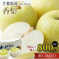 【食いしんぼう祭※300円OFFクーポン】【2箱以上ご購入で800円OFF】梨 香梨 約1.5kg以上 2玉 千葉県産 な…