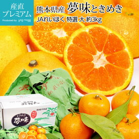 【マラソン期間最大200円OFF＆エントリーでP10倍】 高級みかん 越冬袋掛けみかん 夢味 特選 約3kg 大サイズ 約35個 熊本県産 みかん ミカン 蜜柑 柑橘 お取り寄せ フルーツ 果物 ギフト プレゼント 贈答 プレゼント 内祝い 糖度12度以上 箱サイズ 産直プレミアム