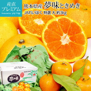 yGg?Ń|Cg10{z ݂ z~܊|݂  I 3kg TCY 35 F{Y ݂ ~J  k  t[c ʕ Mtg v[g  v[g 