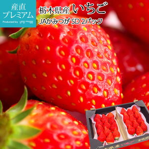 C`S ƂƂ Ƃ SD 2pbN Ȗ،Y ȉ g`Ig g`ACJ   Xgx[  t[c ʕ Mtg  v[g j ̂ Yv~A