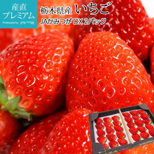 いちご とちおとめ とちあいか DX 2パック 栃木県産 栃乙女 トチオトメ トチアイカ イチゴ 苺 ストロベリー お取り寄せ フルーツ 果物 ギフト 贈答 プレゼント 内祝い のし 産直プレミアム