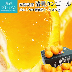 yGg?Ń|Cg10{z 鐴 ^S[ Gi 5kg L`2LTCY 18`25 QY Yn ݂ ~J   k ^S[  t[c ʕ Mtg  