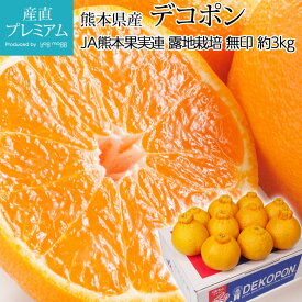 楽天市場 デコポン 熊本の通販