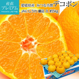 yGg?Ń|Cg10{z fR| Di 5kg 2LTCY 20 QY Yn ݂ ~J  k łۂ  t[c ʕ Mtg  v[g j TCY Y