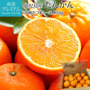 yGg?Ń|Cg10{z ݂ 񂩂 5kg L`3LTCY Y ^J ~J  k  t[c ʕ Mtg  v[g TCY Yv~A