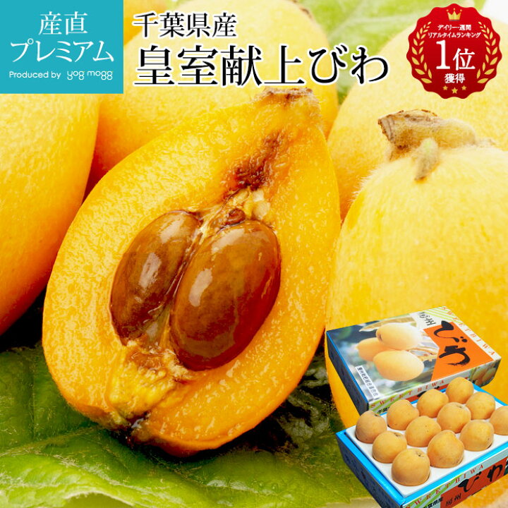 楽天市場 房州びわ 皇室献上びわ 秀品 L 2lサイズ 約1kg 12 15玉 露地栽培 千葉県産 Ja安房 送料無料 びわ 枇杷 ビワ 房州びわ 房州枇杷 房州ビワ 千葉 お取り寄せ フルーツ 果物 ギフト 贈答用 プレゼント 産直プレミアム 産直プレミアム