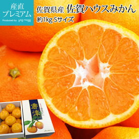 【マラソン限定最大P26倍】 みかん 佐賀ハウスみかん 約1kg Sサイズ 12個 佐賀県産【ミカン 蜜柑 柑橘 お取り寄せ フルーツ 果物 ギフト 贈答 プレゼント 内祝い 箱サイズ 小粒 小玉】【産直プレミアム】