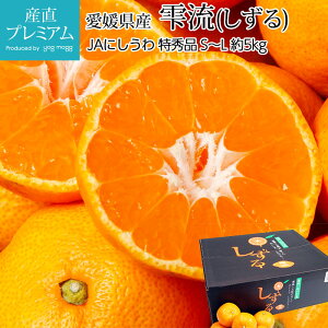 y9/4 20:00`P2{z ݂   Gi 5kg S`LTCY 40`60 QY Yn  ~J   t[c ʕ Mtg  v[g j TCY Yv~A