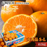 【エントリ—＆条件達成でP最大10倍】みかん 味っ子みかん 丸秀品 約5kg S〜Lサイズ 40〜60個 糖度13度以…