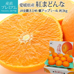 yGg?Ń|Cg10{z ݂ g܂ǂ DAbv 3kg L`4LTCY 8`15 QY g}hi ~J   t[c ʕ Mtg  v[g TCY Yv~