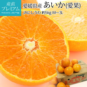 yGg?Ń|Cg10{z ݂   5kg M`3LTCY 16`30 QY Yn ACJ  t[c ʕ Mtg ƒp v[g j TCY Yv~A