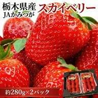 いちご スカイベリー G 2パック 栃木県産 イチゴ 苺 ストロベリー お取り寄せ フルーツ 果物 ギフト 贈答…