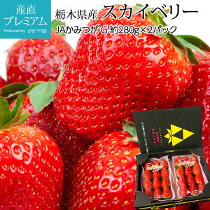 いちご 送料無料の人気商品 通販 価格比較 価格 Com
