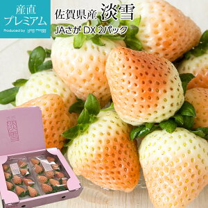 yGg?Ń|Cg10{z  W DX 2pbN  ꌧY 䂫 C`S  C`S Xgx[  t[c ʕ Mtg  v[g j Yv~A